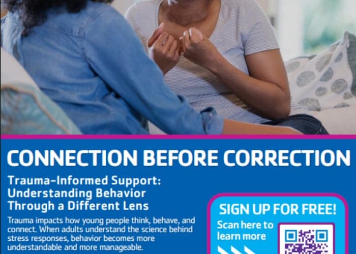Trauma-Informed Support: Understanding Behavior (offered in-person & zoom)