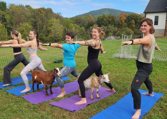 Goat Yoga on the Farm