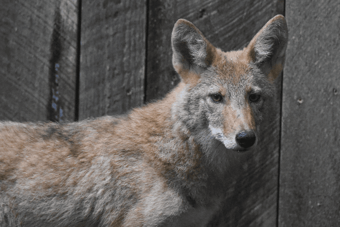 Night at the Nature Center