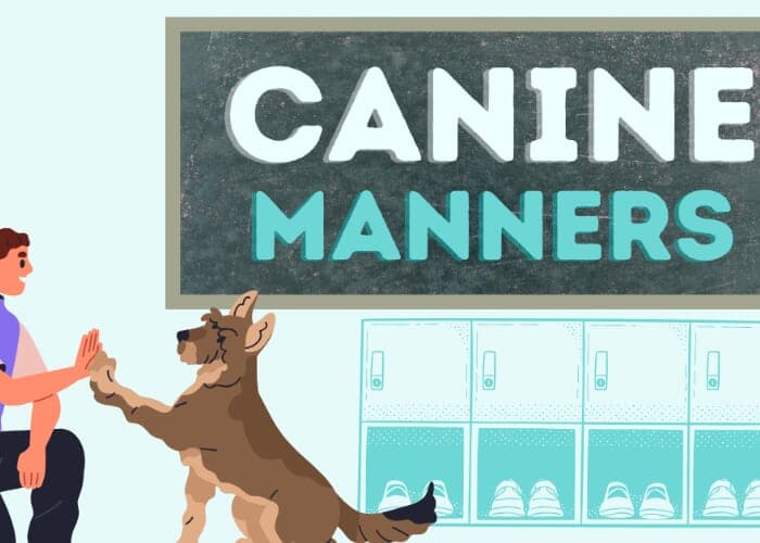 Canine Manners Dog Training