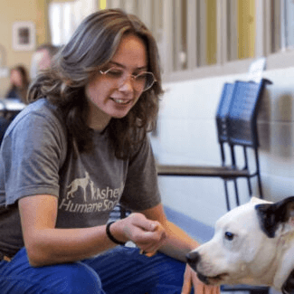 Canine Manners with Miranda Cook, CPDT-KA