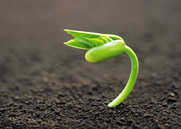 Begin Again: A Daylong Movement Workshop for Healing and Renewal