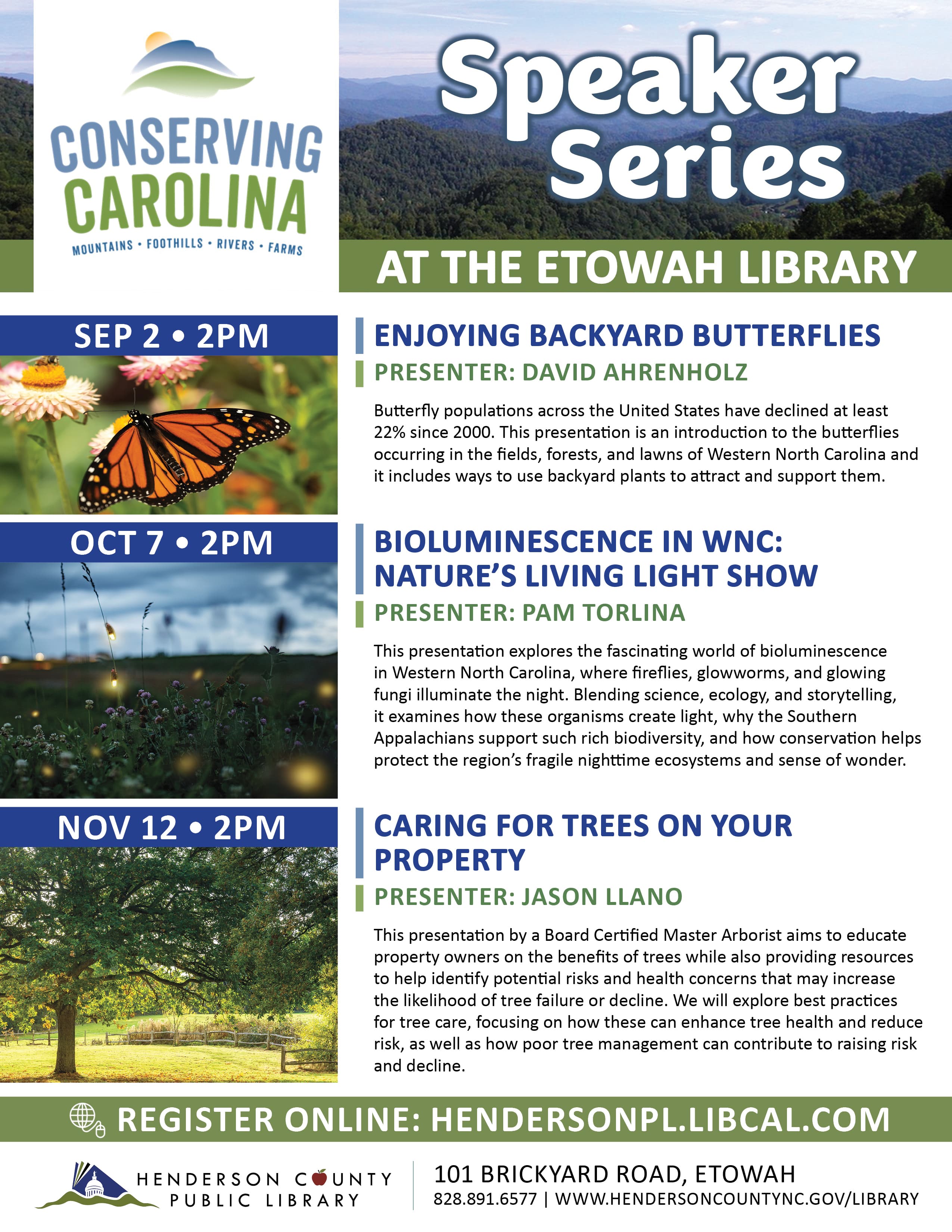 Caring for Trees on Your Property