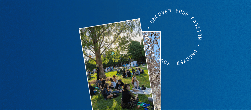 Spring Time Pawction