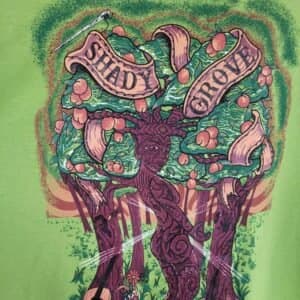 Shady Grove Stringband