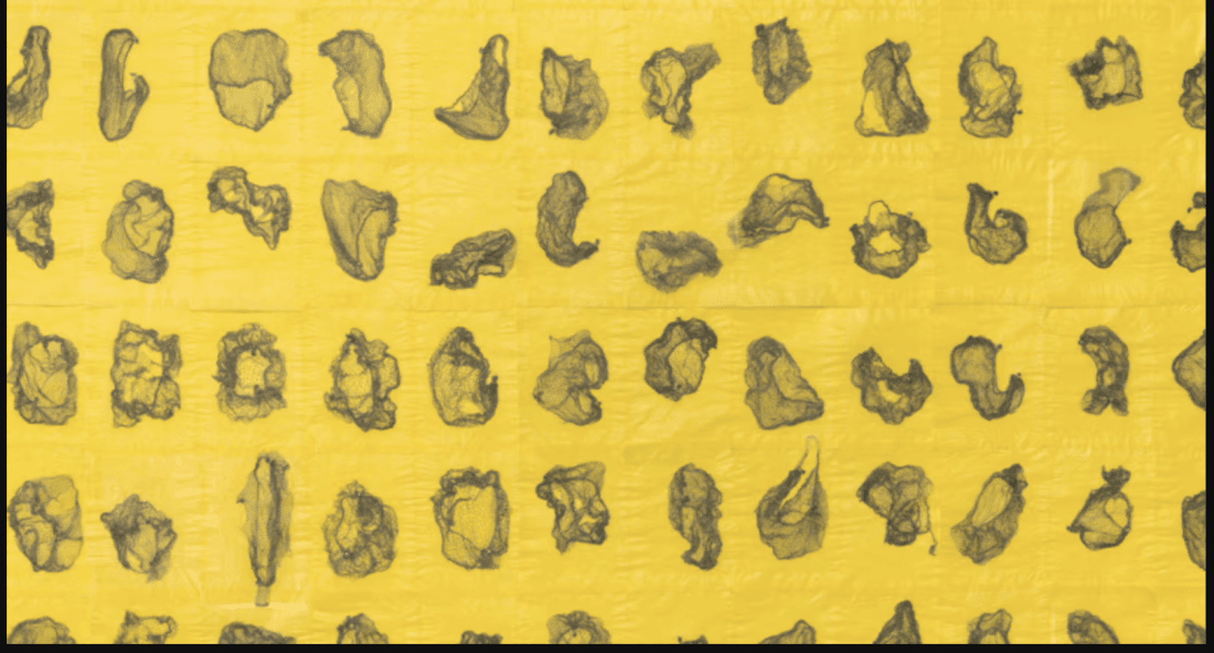 Women of the Pacific Northwest