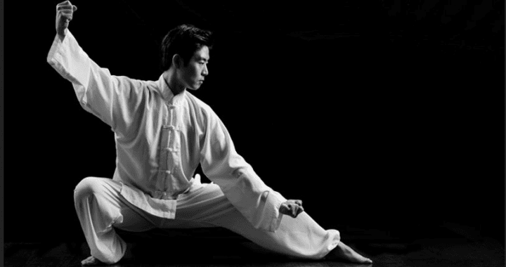 Combat Tai Chi