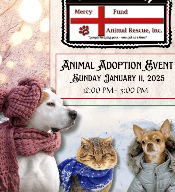 Mercy Fund Animal Rescue Adoption