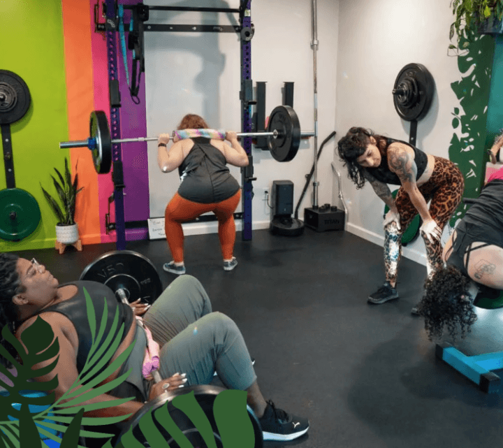 Small Group Weightlifting Class