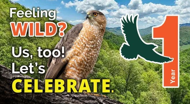 Swannanoa Valley Wild Inaugural Chartering Ceremony