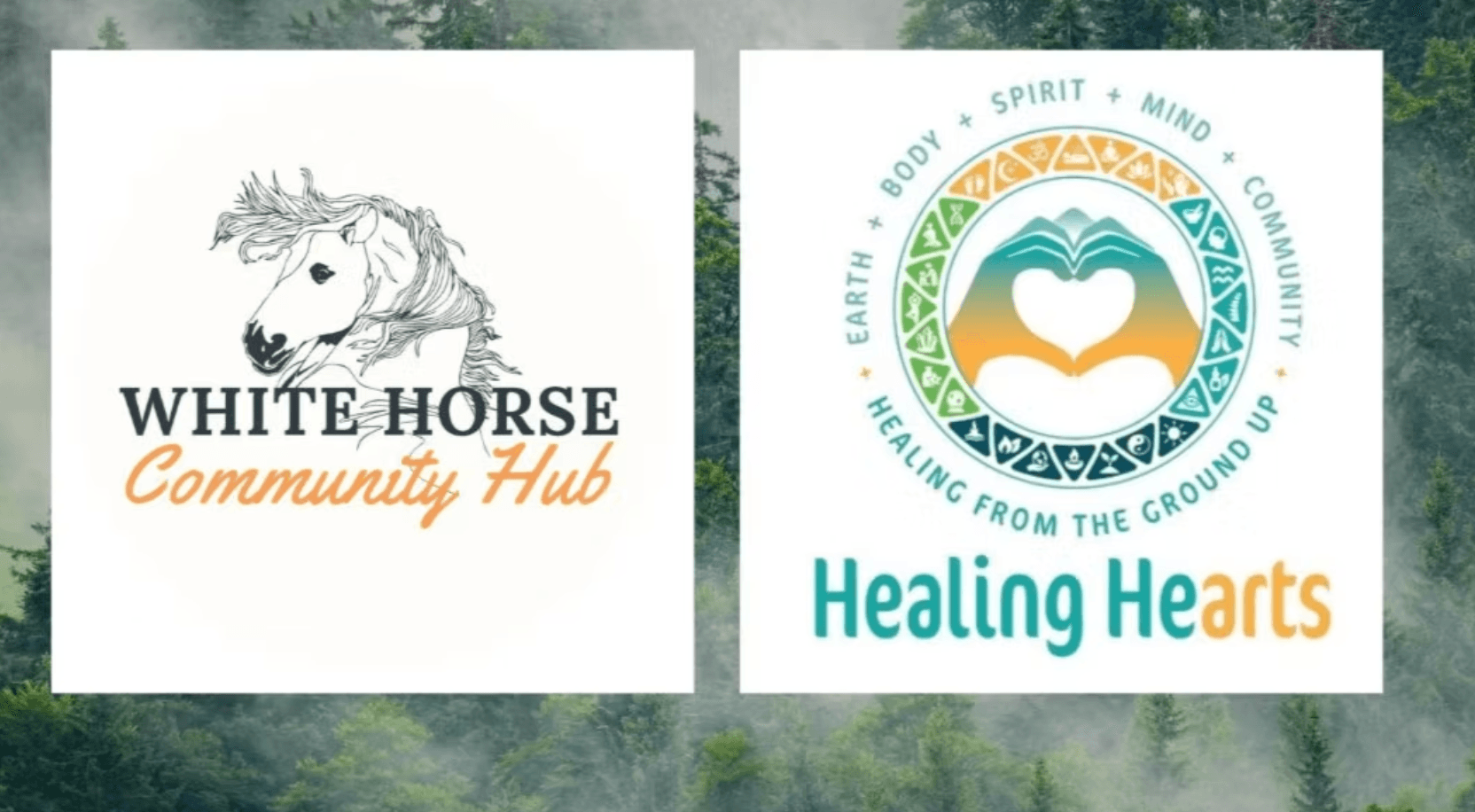 Meditation for Community Healers