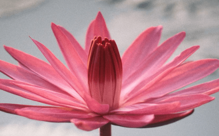 Dharma in the Digital Age w/David Dixon