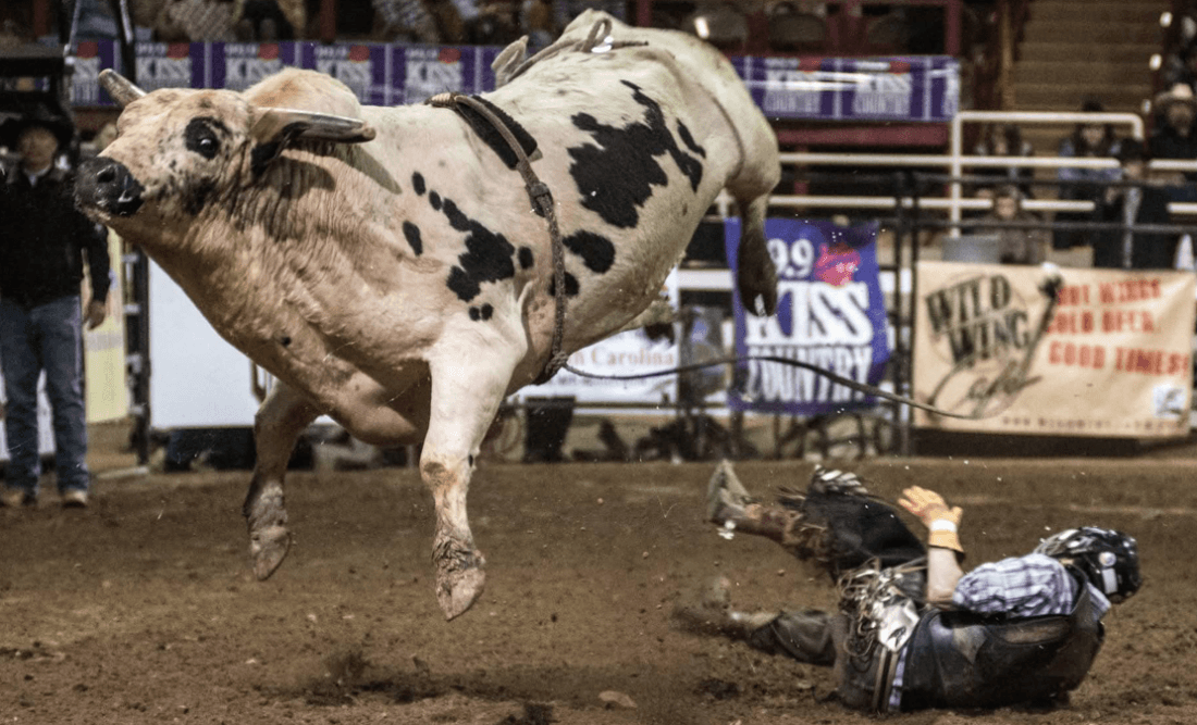 51st Southern Rodeo Association Finals