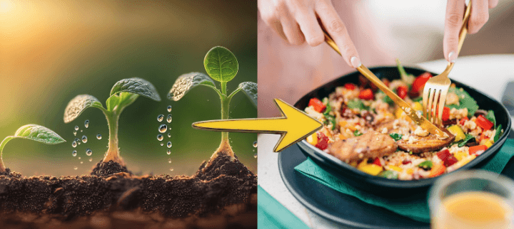 Grow What You Eat, Eat What You Grow