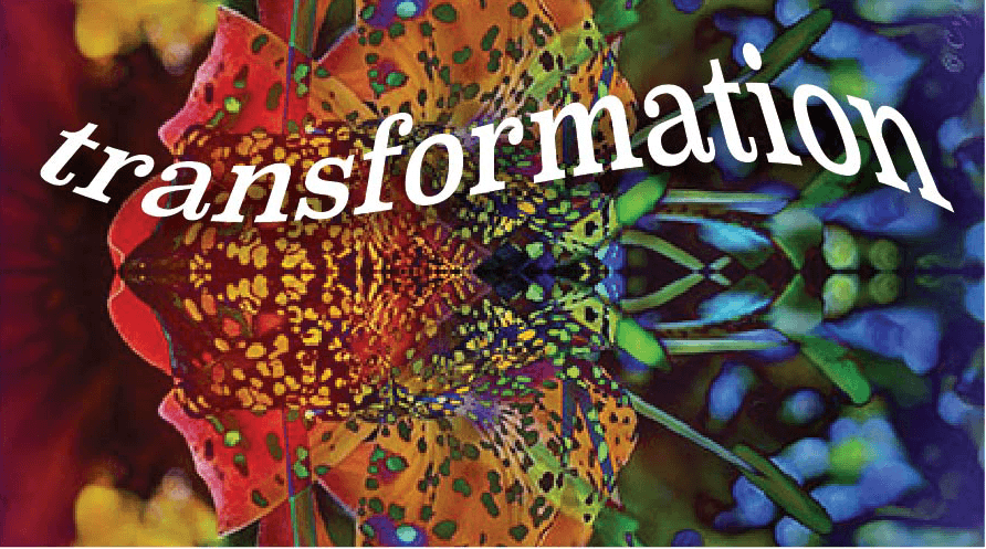 Open Art Exhibition: Transformation
