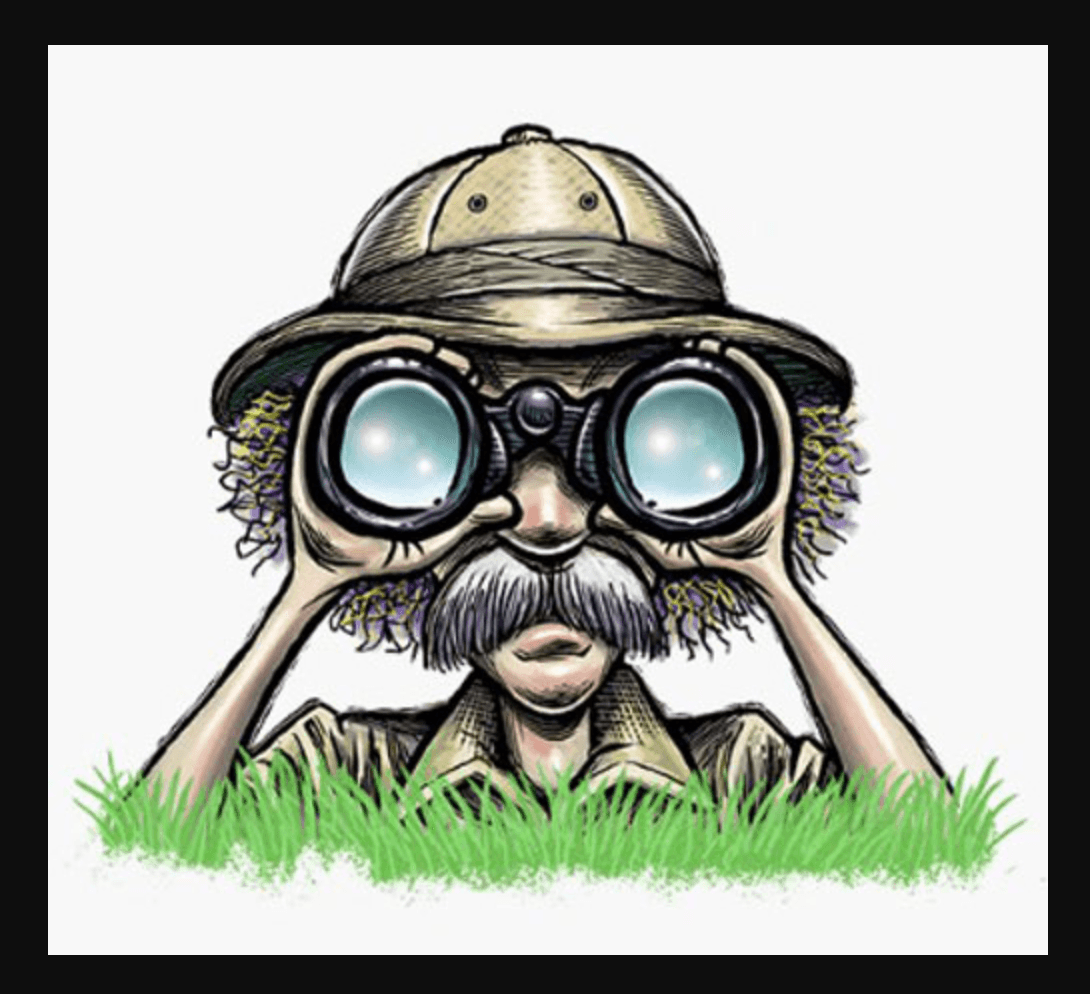 Weaverville Art Safari Studio Tour