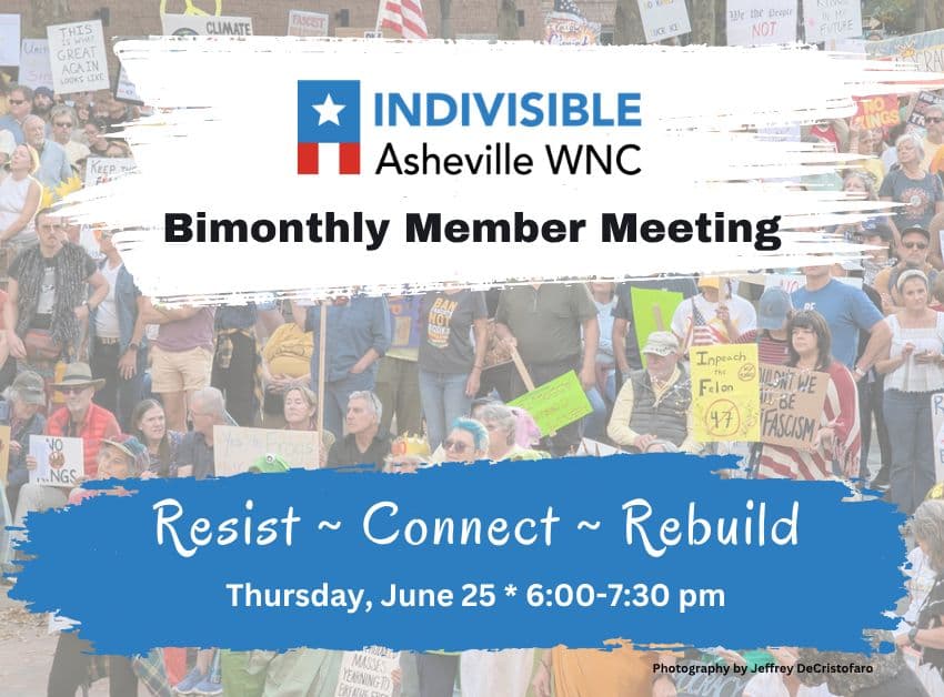 Indivisible AVL Bimonthly Member Meeting