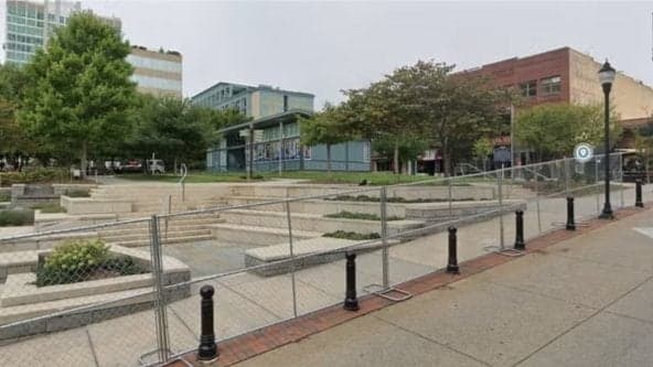 Gardening Meet and Seed/Plant Exchange: Spring Plants 🌱