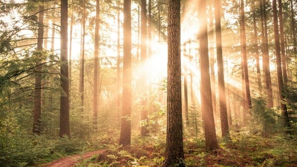 A Group Mediumship Reading with Mary Stevens