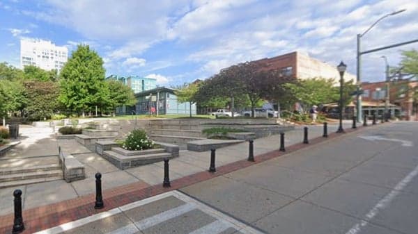 Pack Square Seed/Plant Share: Extra Spring Plants 🌱