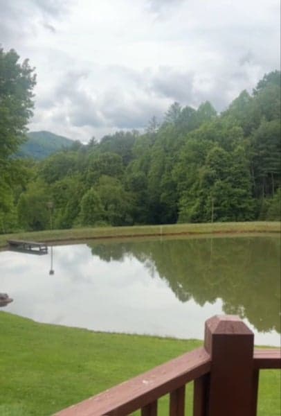 Summer Day Healing Retreat