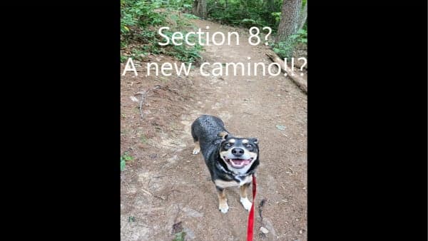 Camino de Asheville - Section 8. Strenuous - E Asheville Loop 6.50 mi.