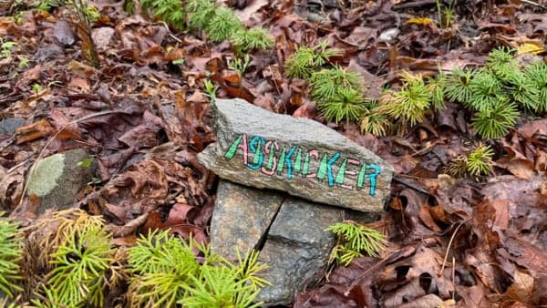 Green Top to Shut-In Loop - 7.5 Miles 1800 Ft Elevation Gain