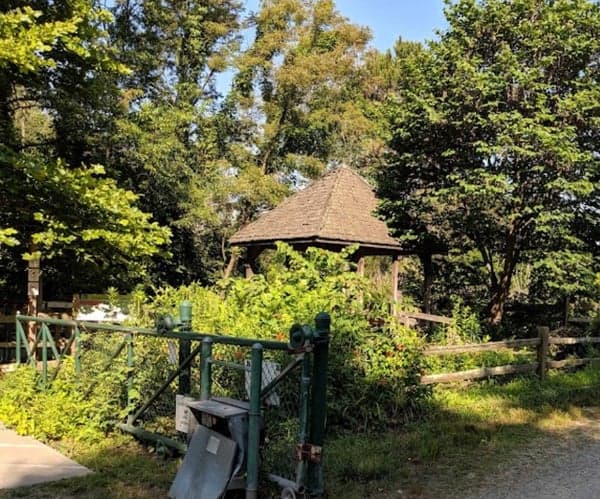 Beaver Lake Evening Walks