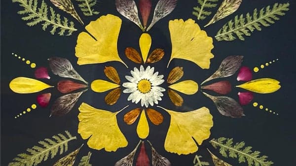 'Wild Magic' AMC Sunday Dance Ecstatic Dance Waves w/ Guest DJ Esmae