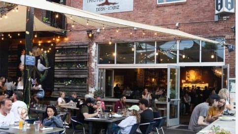 Twisted Laurel-Downtown