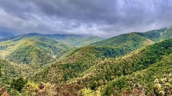 Snakeden Ridge Loop (5th Sunday Special) - 9AM Weaverville Walmart