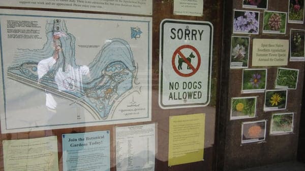 Asheville Botanical Gardens educational eco/nature walk