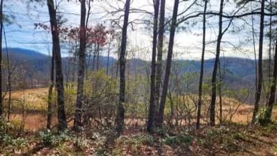 Leisure Hike: Copper Ridge Trail (Fonta Flora in Old Fort)