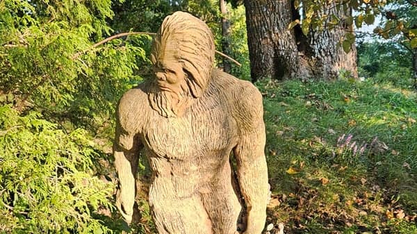 Scenic AVL #6: Mount Royal Roller