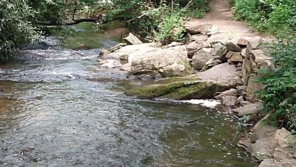 NC Arboretum walk to Lake Powhatan area..meet at old greenhouse parking lot