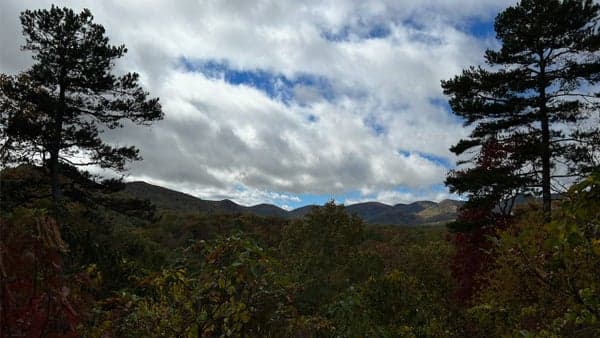 Arboretum Hard Times Loop - 6.5 Miles, 700 Ft Elevation Gain