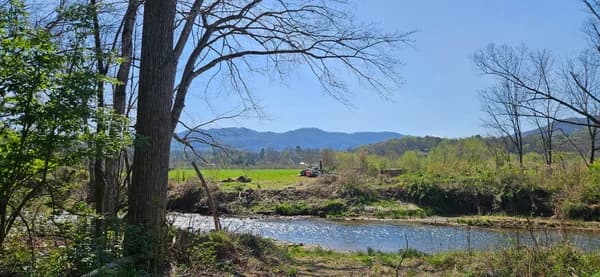 Scenic AVL #2 - Warren Wilson Redux