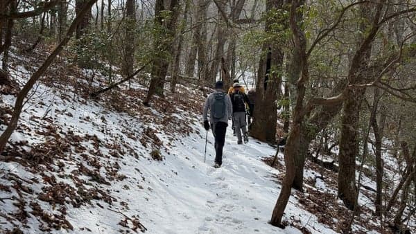 Rice Pinnacle Parking - Bent Creek Area - Harder Hike