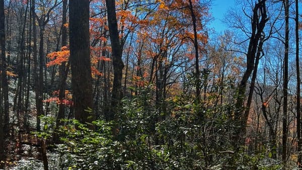 MTS Trail South Out-and-Back, 6 mi. 650ft. Elev. Gain