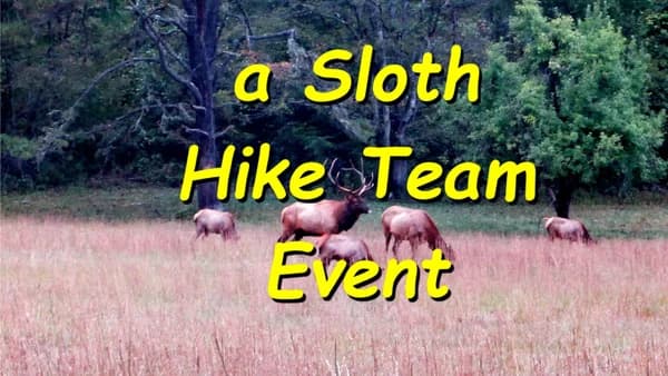 Venue Change: Cataloochee ELK