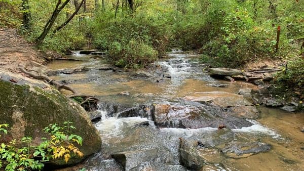 Sunday Morning Hike: Richmond Hill Park