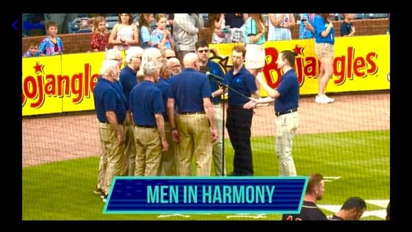 AVL Tourists Ball Game
