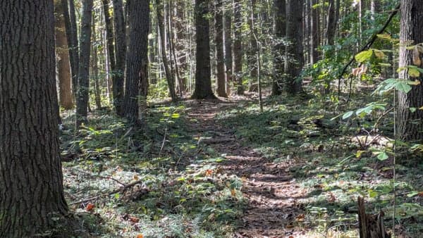 East Bent Creek/West Arboretum, 5 miles