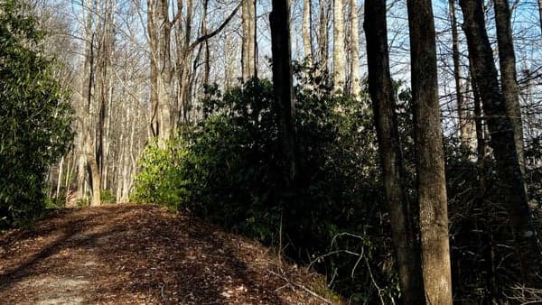 Rice Pinnacle Lollipop: 5.3 mi., 530 ft. Elev. Gain