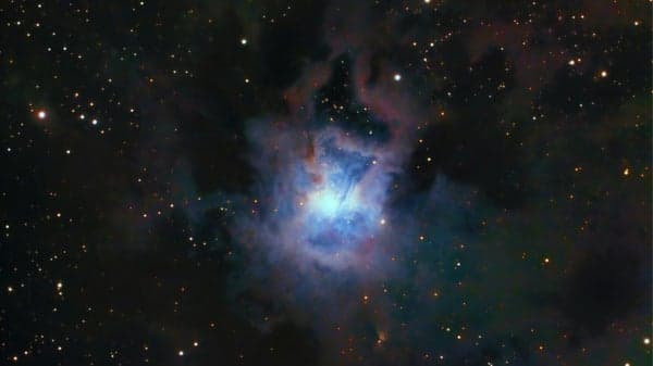 AMC Friday Evening Ecstatic Dance w/ Guest DJ Stacey Butcher