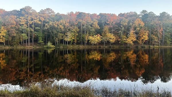 Emotional Peace in Overwhelming Seasons