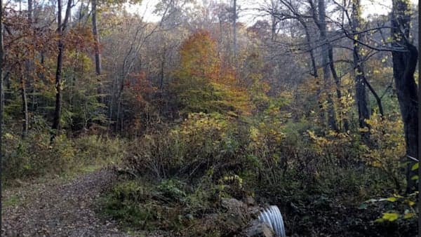 Baldwin Field, Rice Pinnacle, Wolf Knob