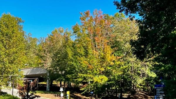 Montford-UNCA Stroll -- 6. mi., 550 ft. elev. gain