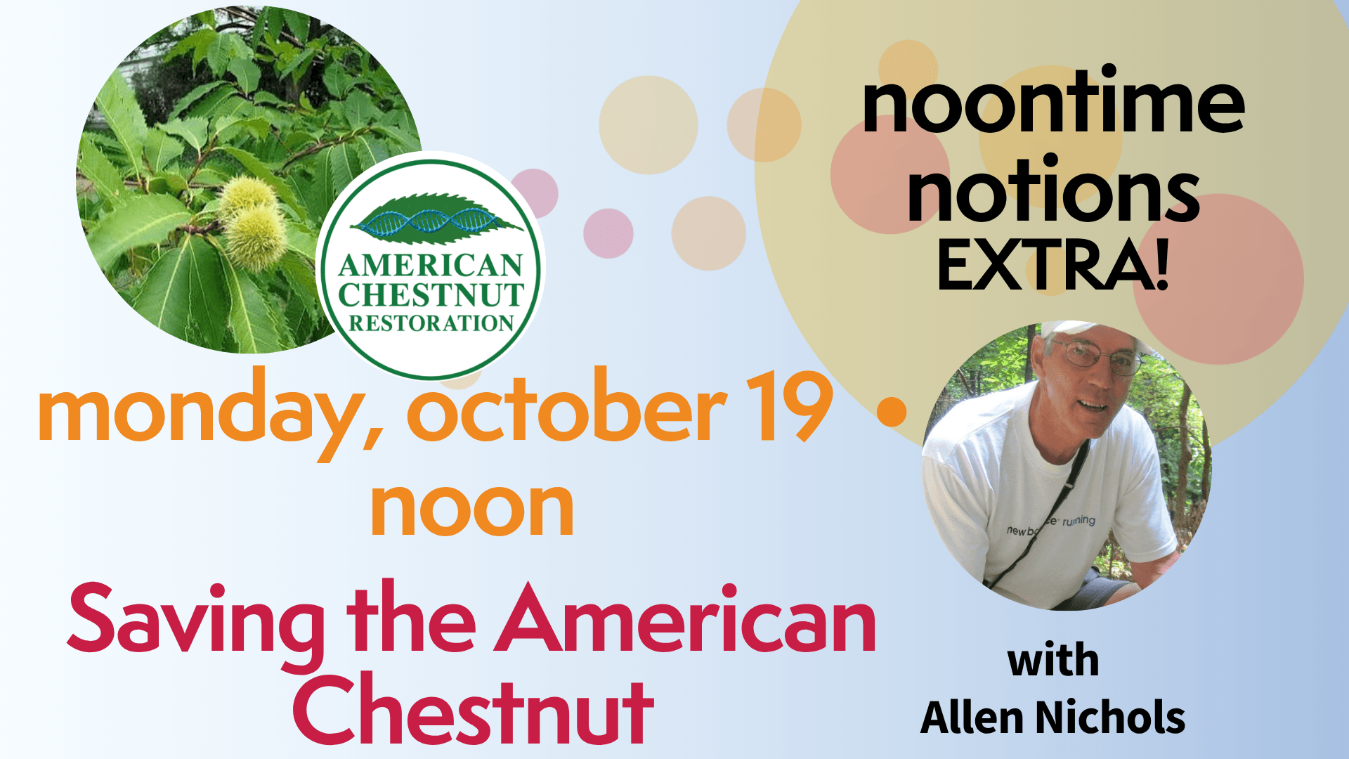 Noontime Notions EXTRA: Saving the American Chestnut