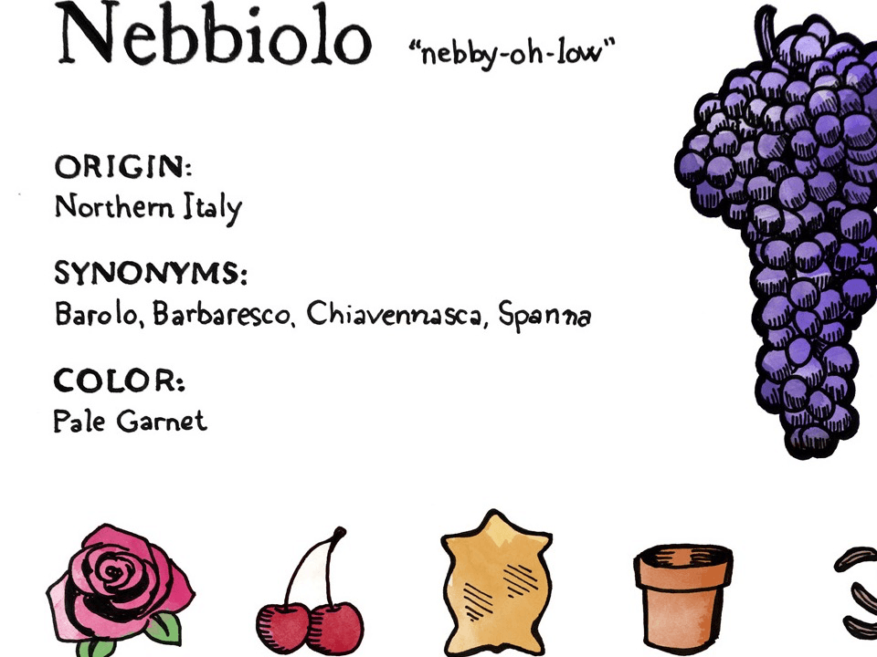 Nebbiolo Wine Class & Tasting